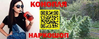 крисы Волгодонск