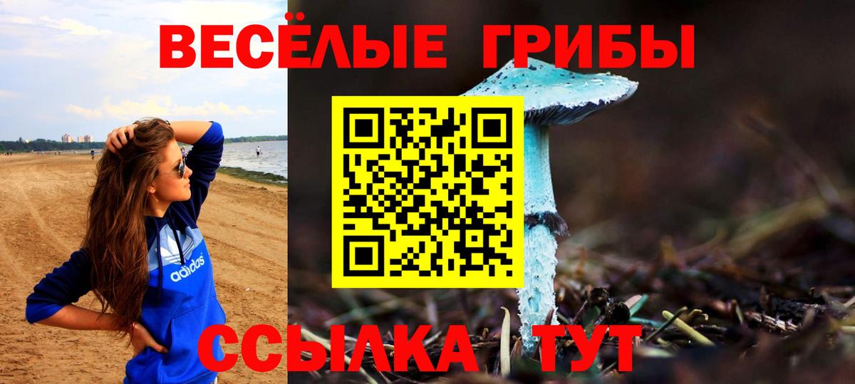 Гусь-Хрустальный  Галлюциногенные грибы Cubensis  сколько стоит  Вход с VPN 